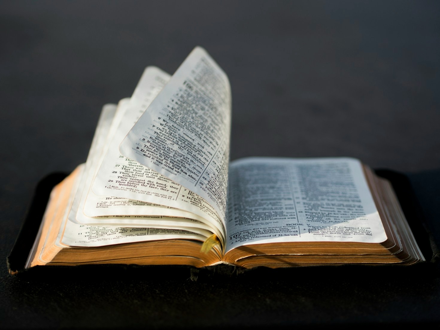 Finding Hope When Life Feels Overwhelming