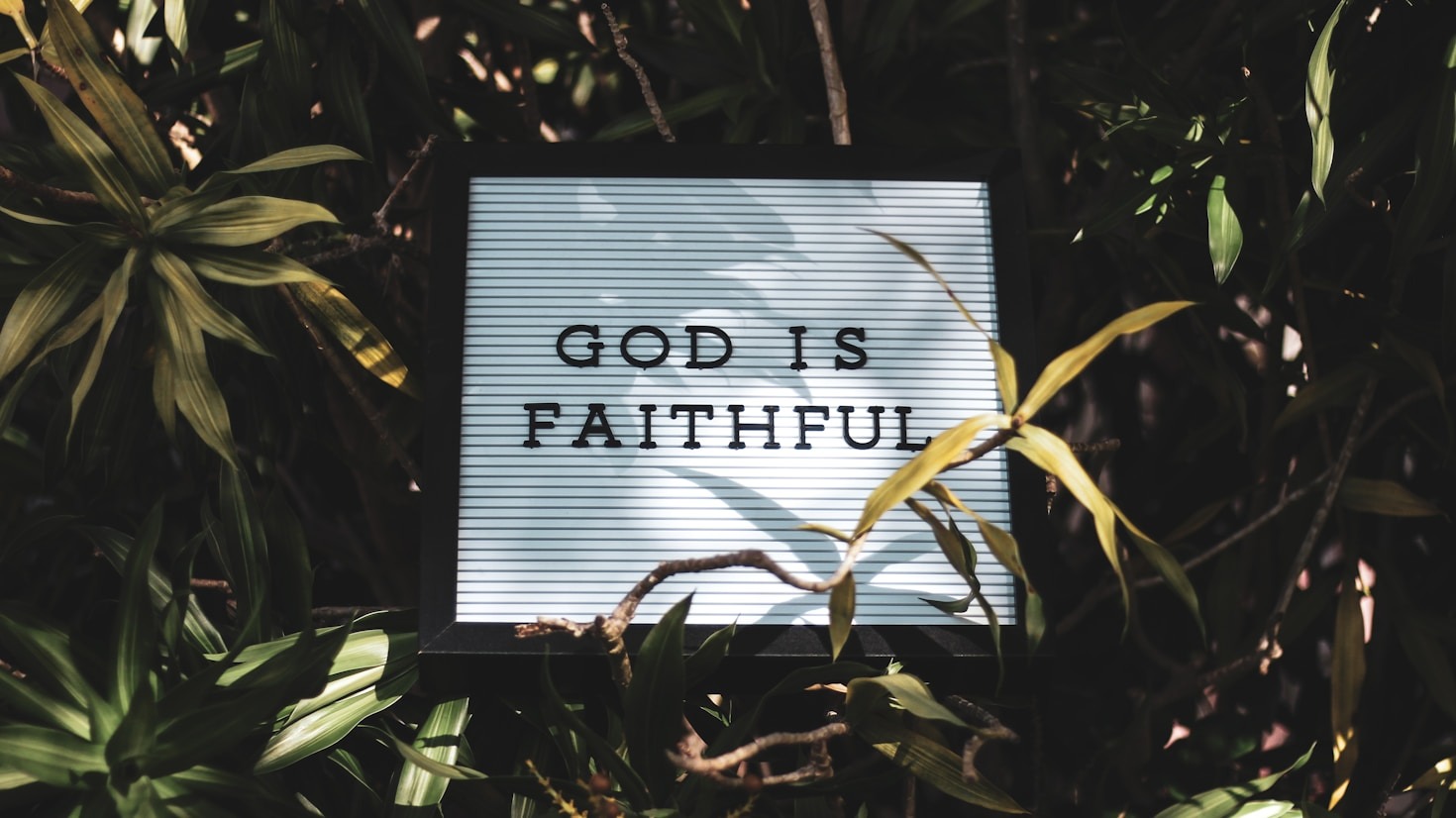 The Power Of Daily Biblical Prayer