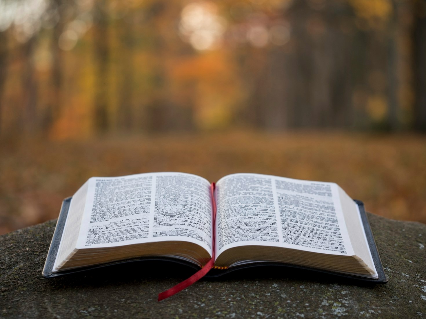 Cultivating A Peaceful Heart Through Scripture
